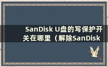 SanDisk U盘的写保护开关在哪里（解除SanDisk U盘的写保护）